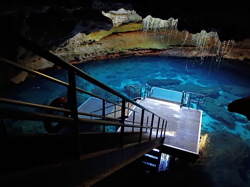Devil's Den Prehistoric Spring