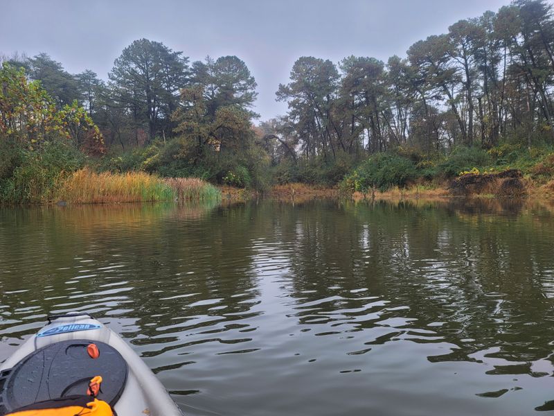 Vast Wetland Landscape Creates Stunning Scenic Photography Backdrops