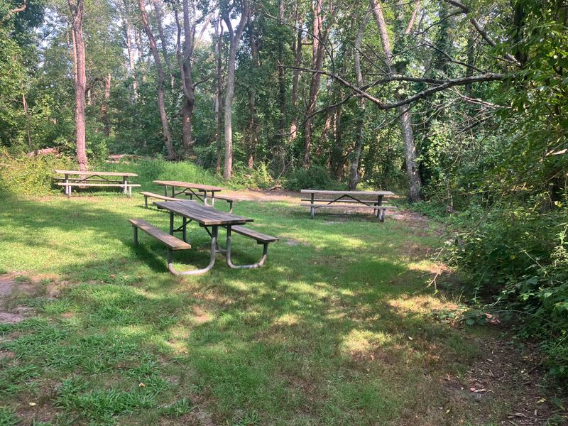 Picnic Areas That Beat Any Restaurant Patio