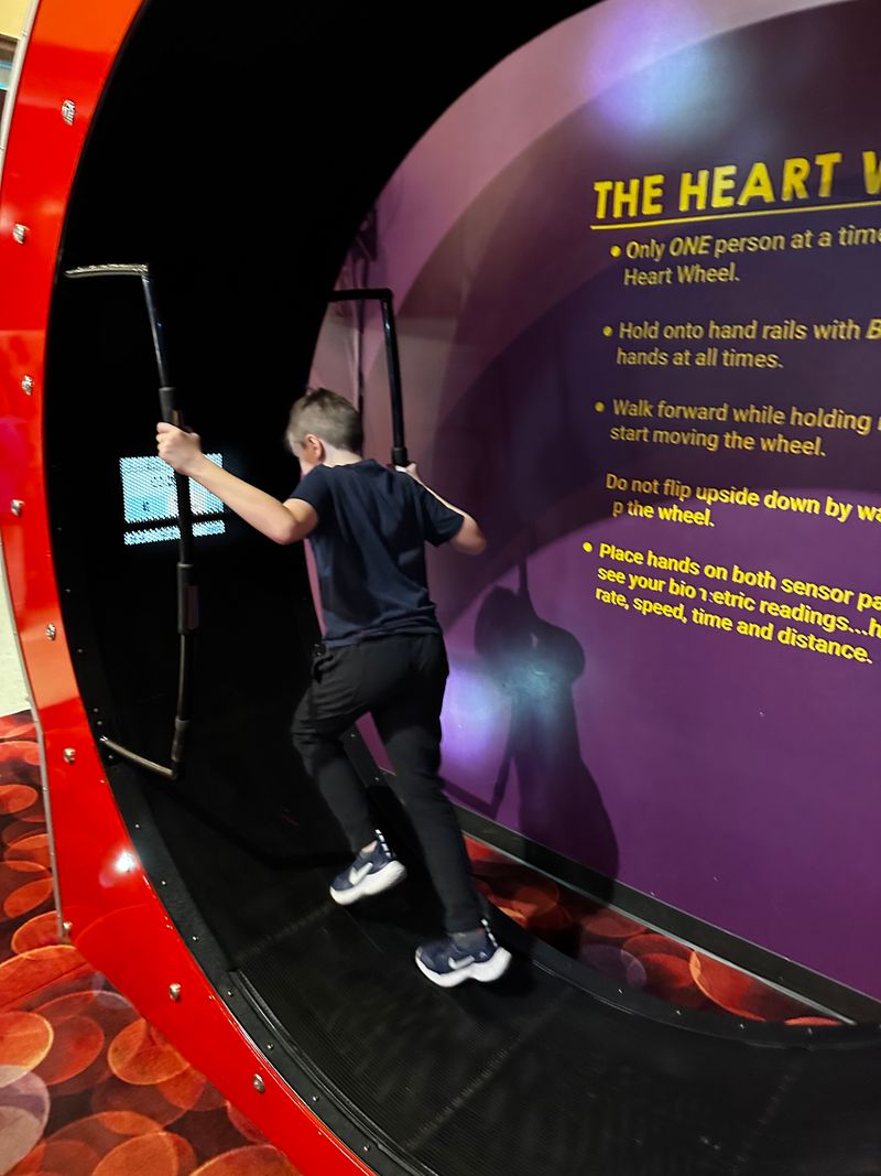 Interactive Exhibits Turn Learning Into Play