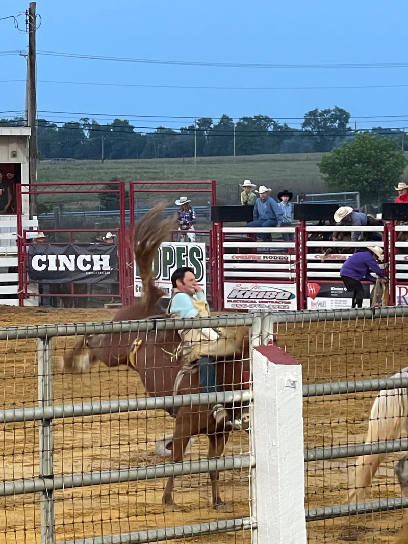 Consistently High Ratings and Sold-Out Shows