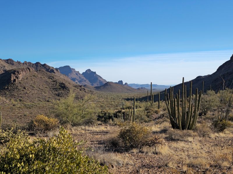 Desert Drives That Turn Into Highlights