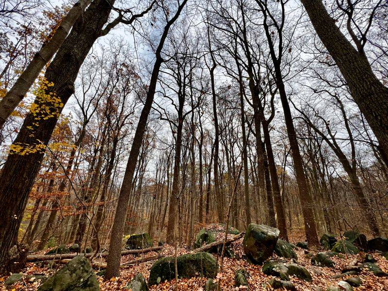 Ringing Rocks Park Trails
