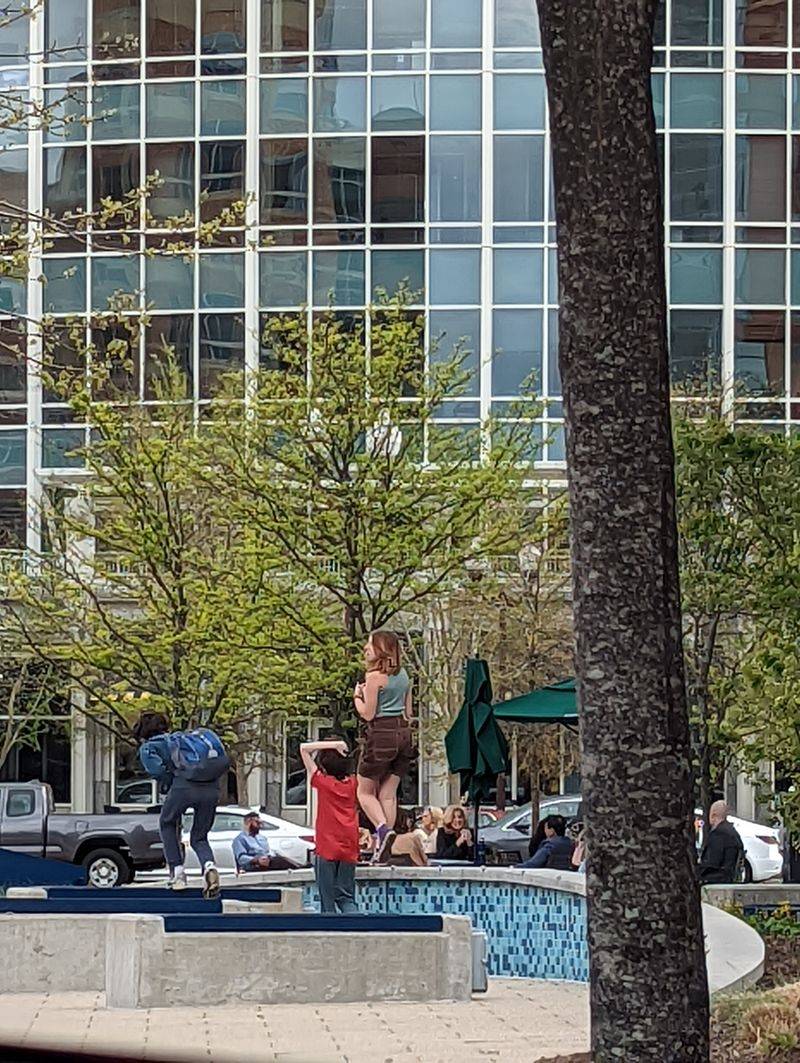 Arlington County Fair