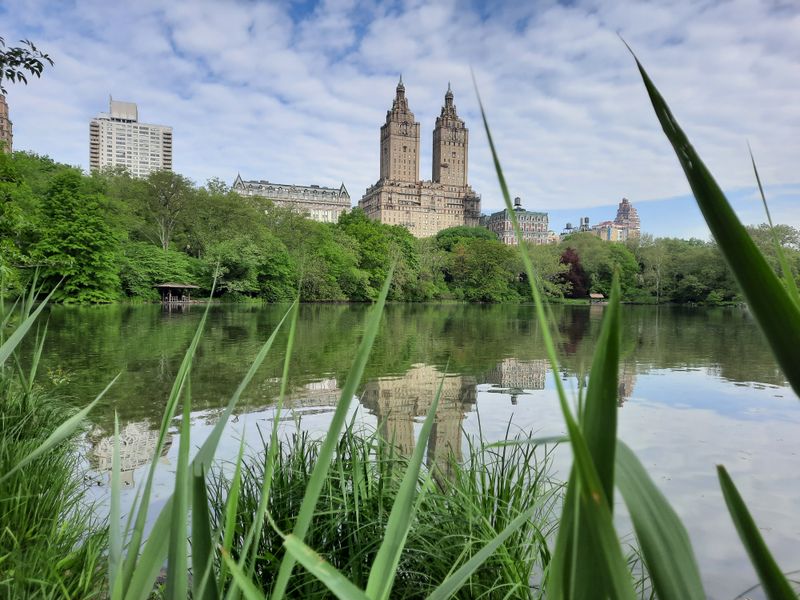 Museum Mile's Cultural Treasures and Time Demands