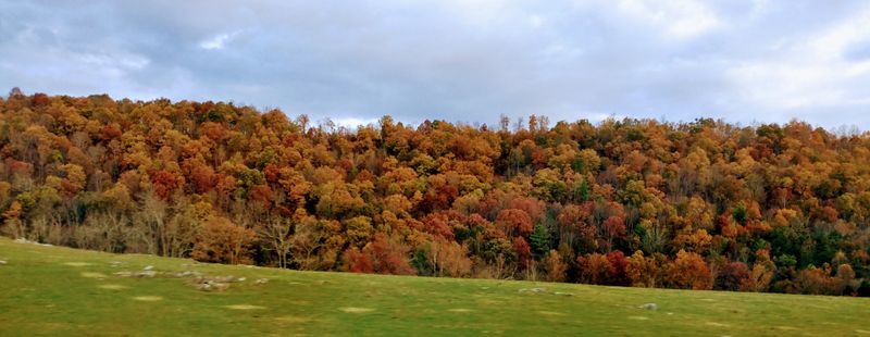 Valzinco Lead and Zinc Mine, Wythe County