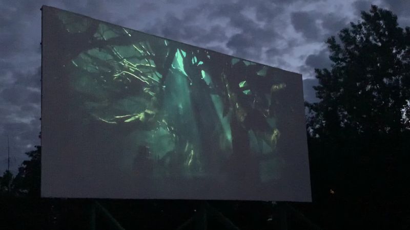 Crisp Digital Projection