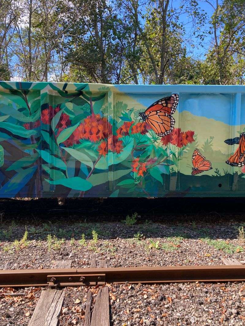 Painted Train Cars That Add Unexpected Artistic Flair