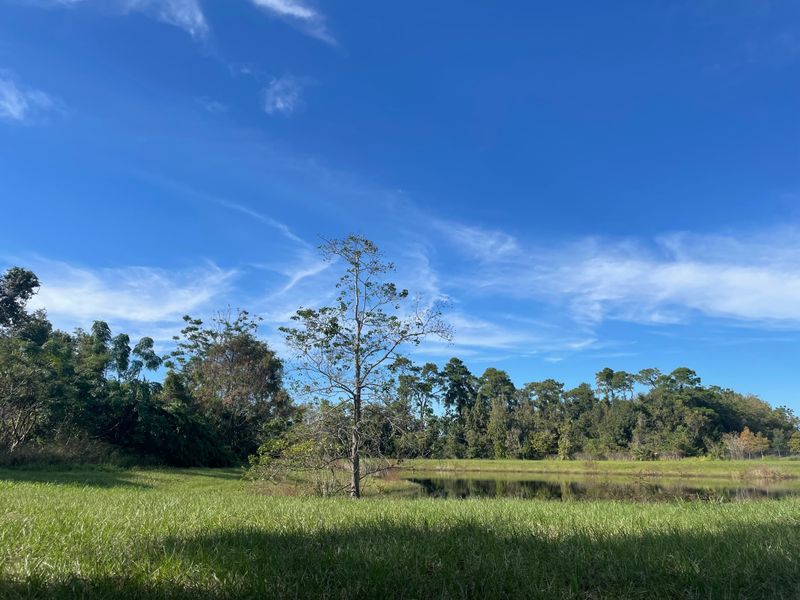 West Orange Trail Bridge Over Florida’s Turnpike Replacement