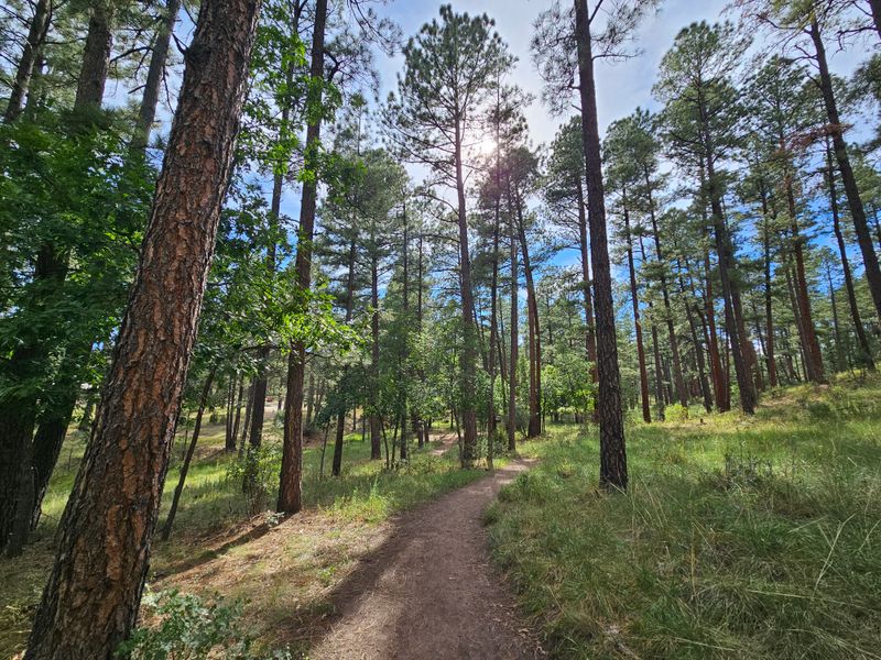 Lakes And Trails Just Far Enough To Feel Remote