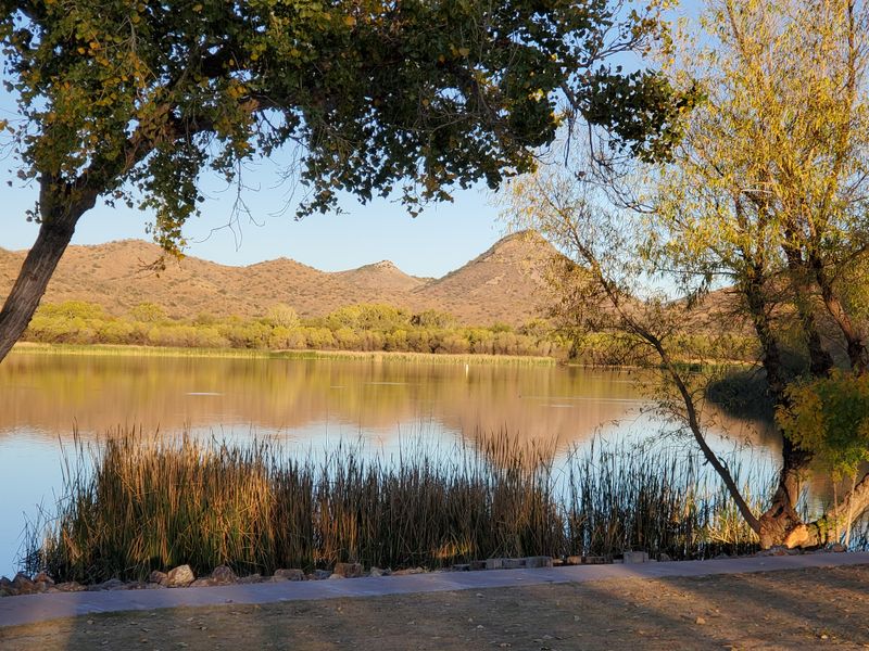 Nights That Feel Completely Unplugged