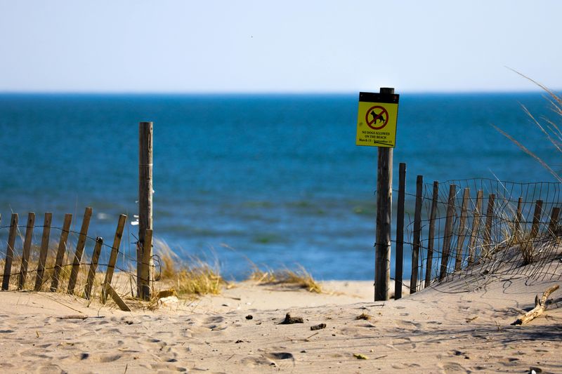 Easy Access Beaches Everywhere