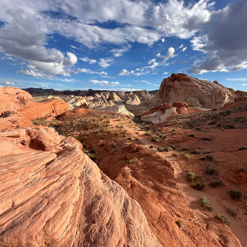 Tourists Do Not Realize This About Desert Fire Risk