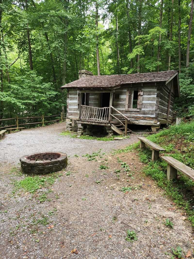 Cozy Cabins for Those Who Like Their Nature with a Roof