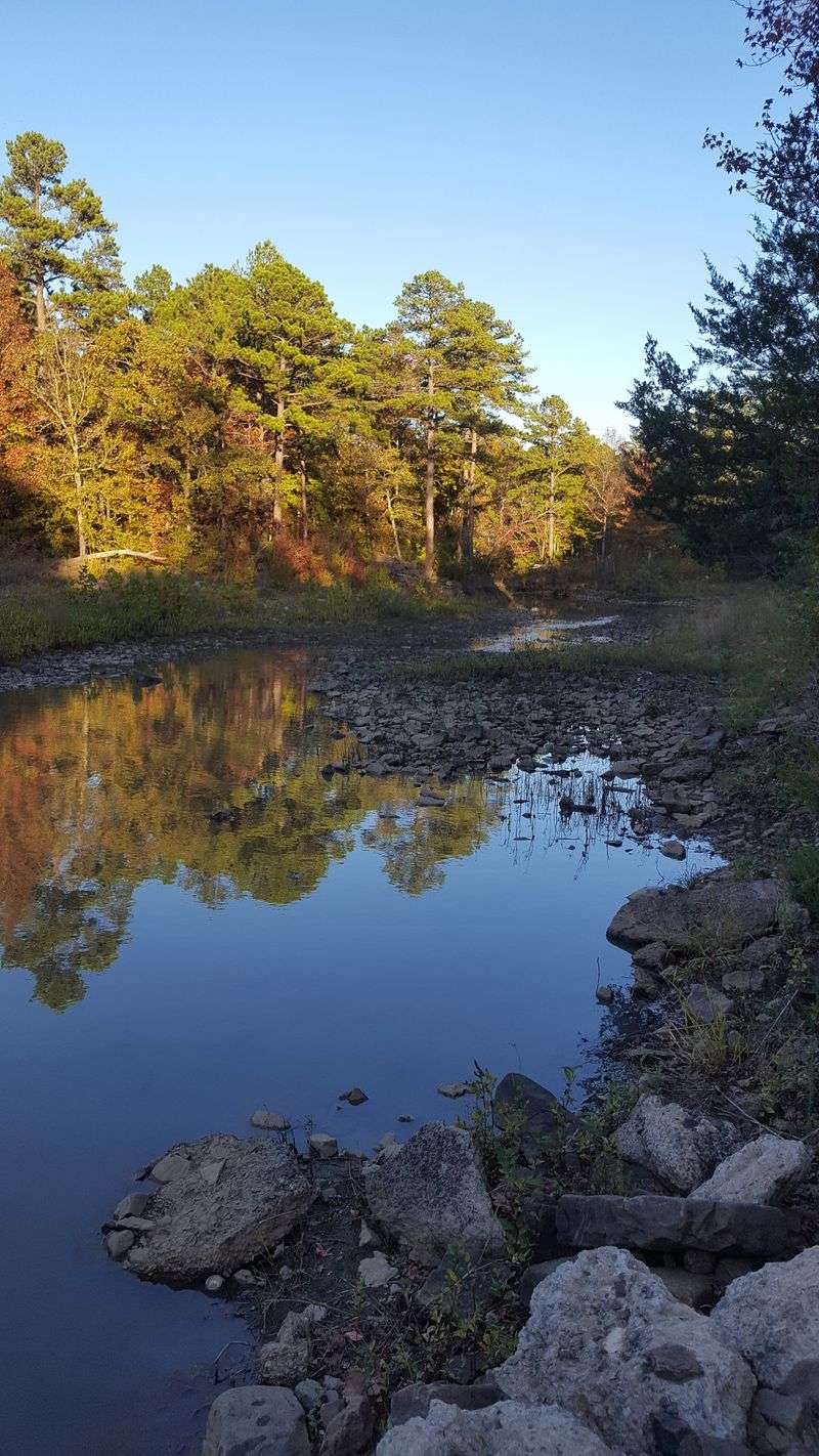 Fall Color Spectacle in the Ouachitas