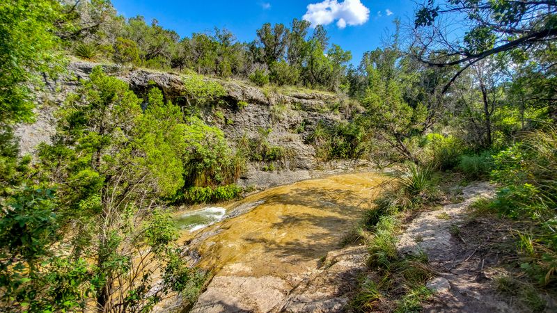 Bird Watching Paradise With Dedicated Viewing Blinds