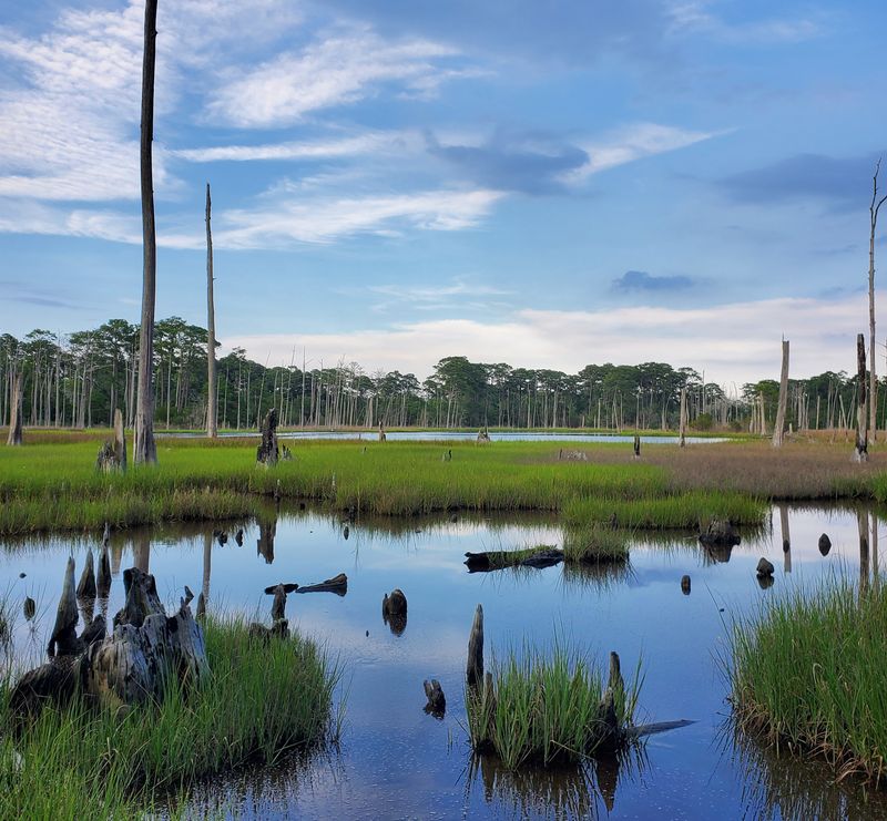 Wildlife Watching Where Nature Shows Off Its Best Characters