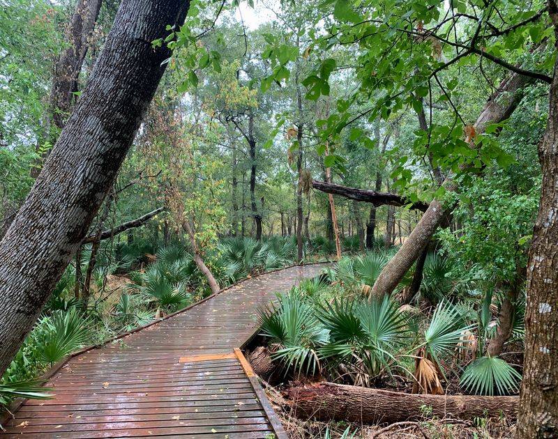 A Tropical Oasis in the Heart of Texas
