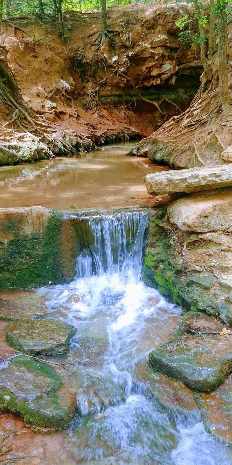 Natural Springs in the Middle of Nowhere