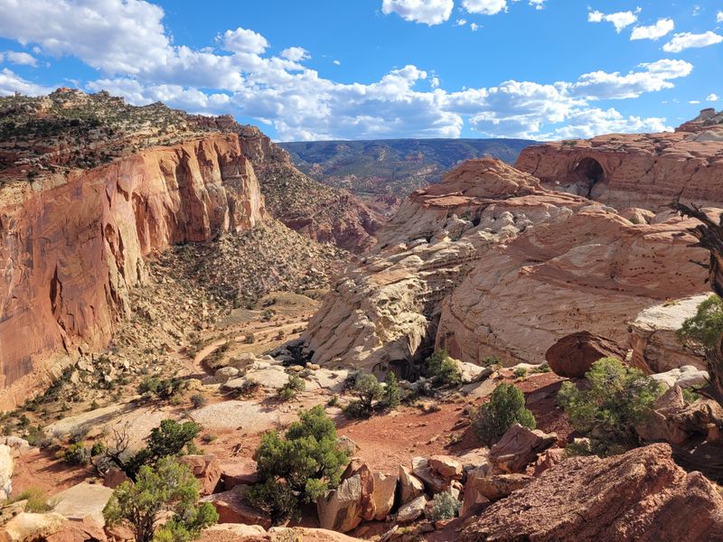 Capitol Reef Domes