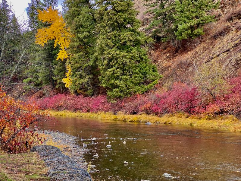 Red Bridge State Wayside