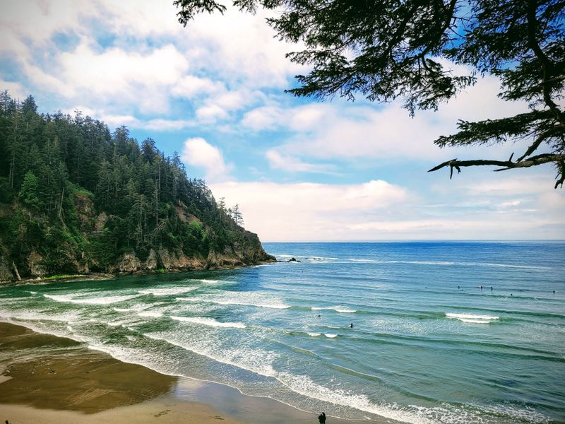 Oswald West State Park Trails