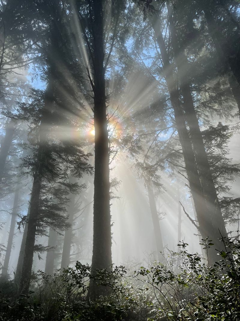Cummins Ridge Trail: The Road Less Traveled