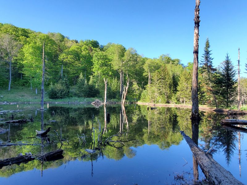 Vanderwhacker Mountain Trail