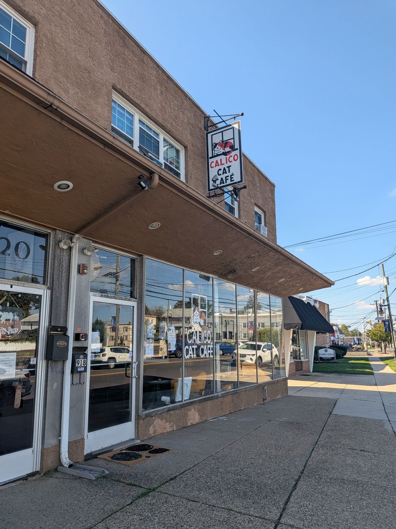 Coffee and Beverages Hit the Spot