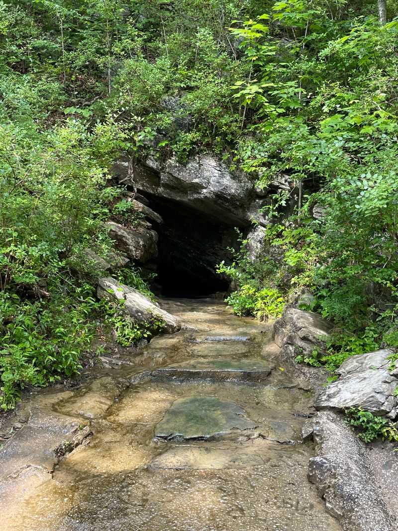 Saltpeter Cave: Underground Adventure Awaits