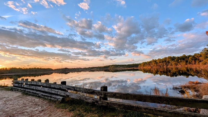 Working Cranberry Bogs That Paint the Landscape Red