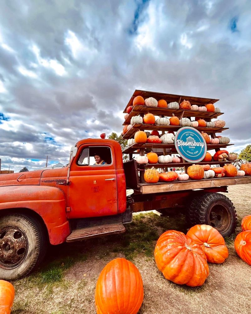 Bloomsbury Farm Flashlight Maze Nights, Atkins