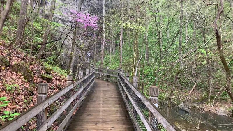 Hiking Trails That Range from Casual Stroll to Leg-Burning Adventure