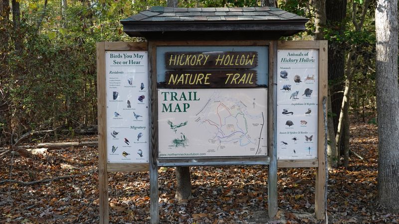 Hickory Hollow Natural Area Preserve