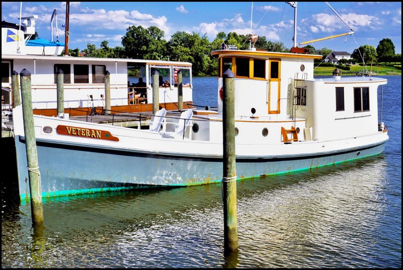 Fresh Seafood Straight From The Bay