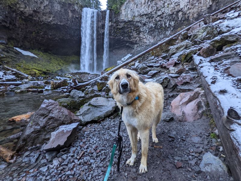 Rocky Trail Conditions That Demand Respect