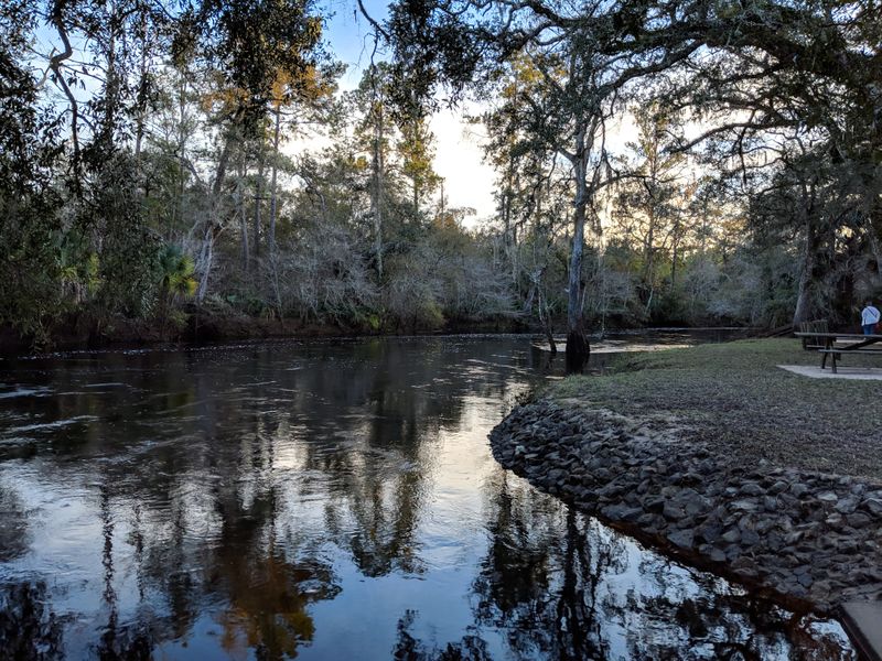 Steinhatchee Steinhatchee