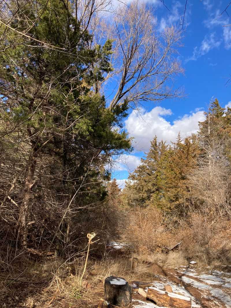 Hatfield Park's Invitation to Linger