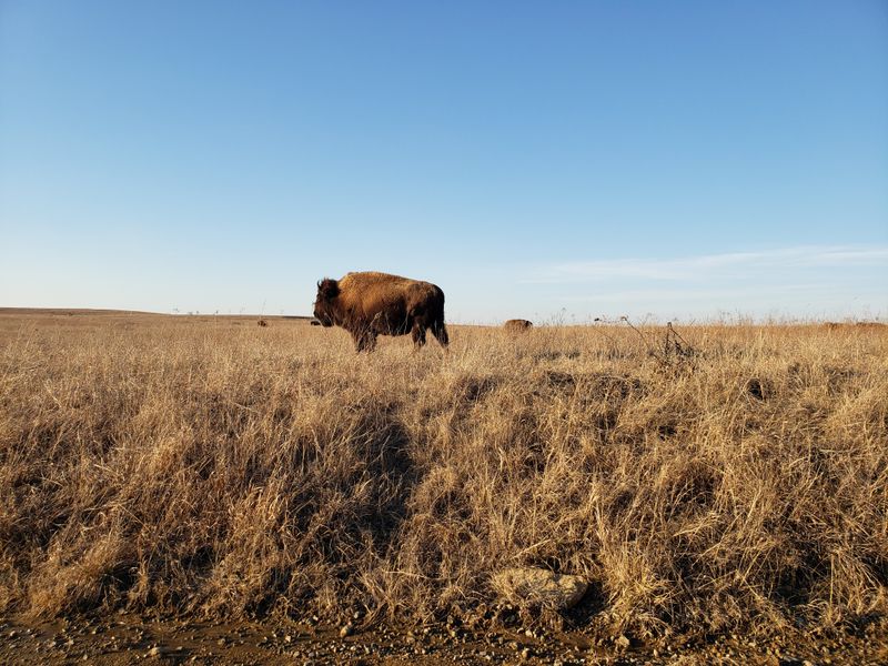 Tallgrass Prairie Preserve