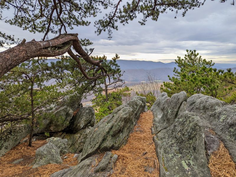 Dragon's Tooth Trail Near Roanoke