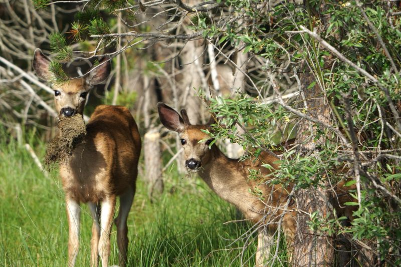 Consulting official guides for sensitive places