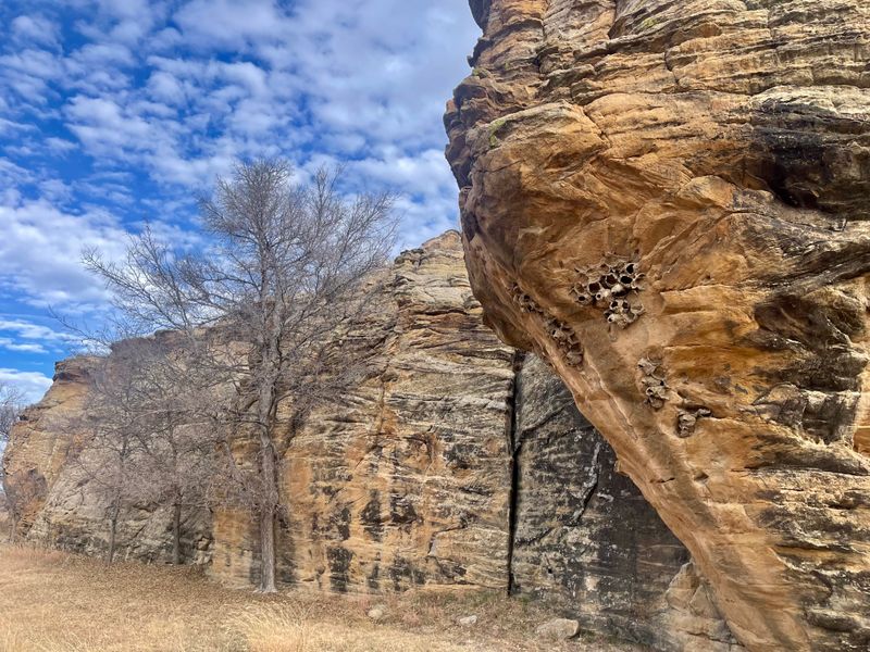 Autograph Rock and Prehistoric Signatures