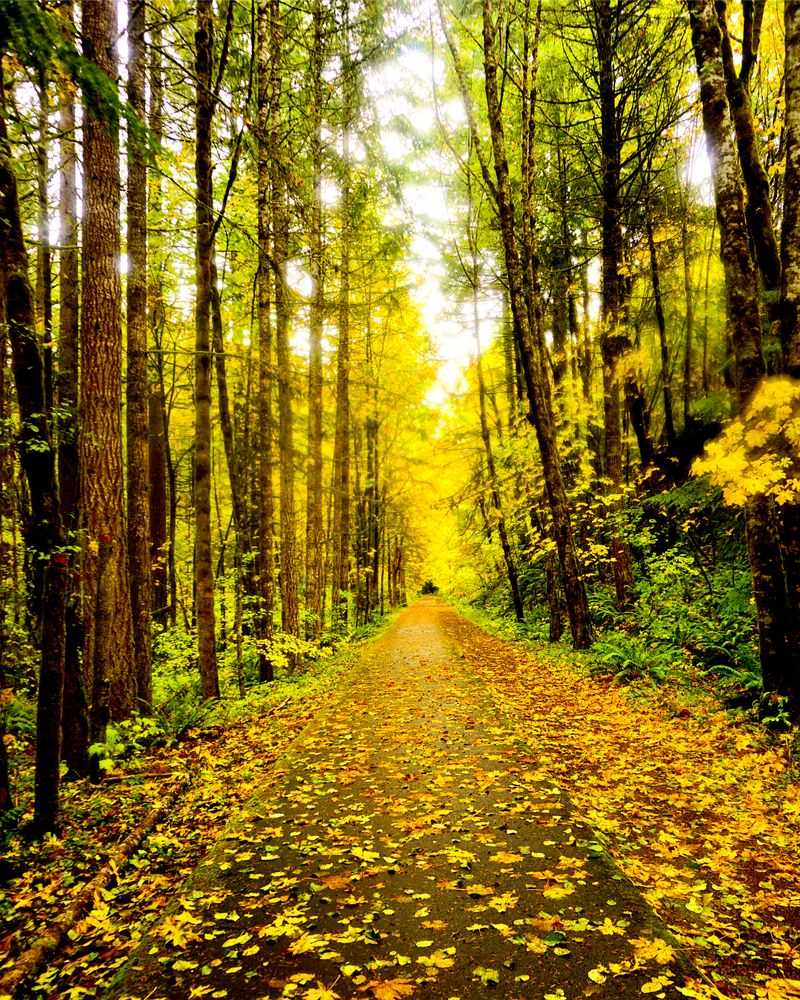 Nature Powers A Thriving Recreation Economy