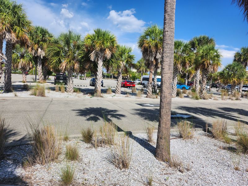 Siesta Key Public Beach Parking
