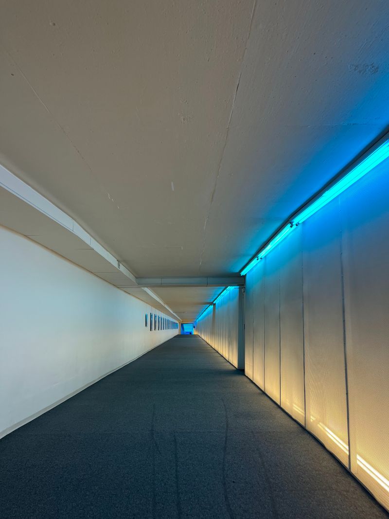 Unrealized Commercial Potential