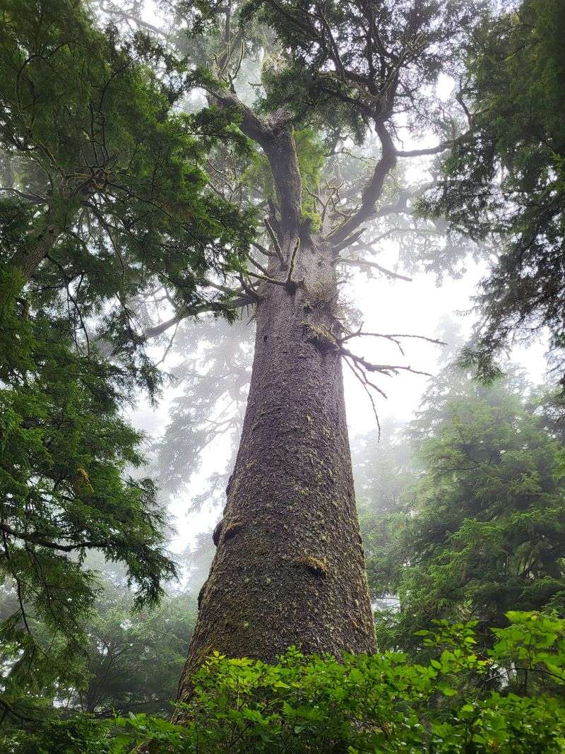 Biodiversity Thrives From Deserts To Rainforests