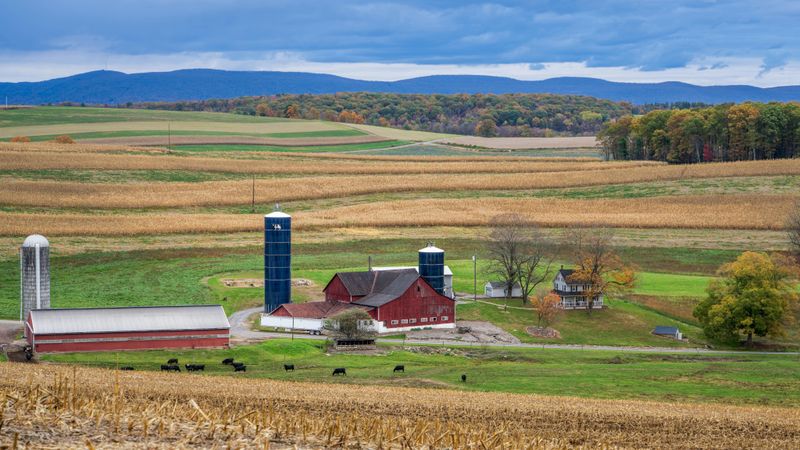 Work And Home Life Are Closely Linked