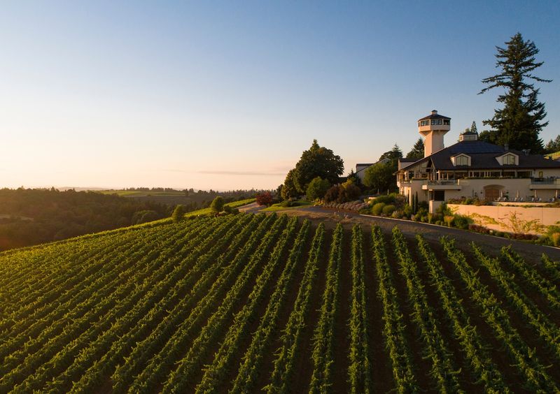 Wine Country Has Professionalized the Tasting Experience