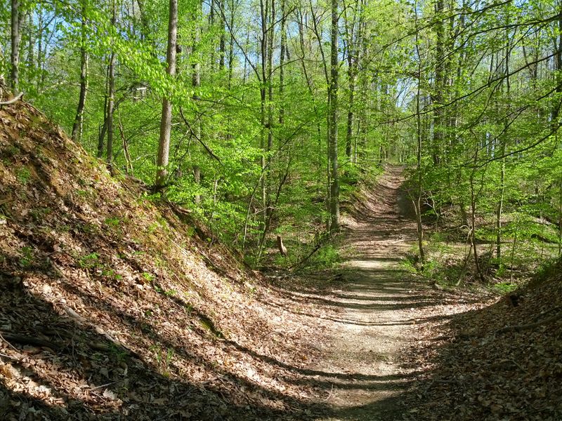 Challenging Mountain Bike Trails for Two-Wheeled Adventures