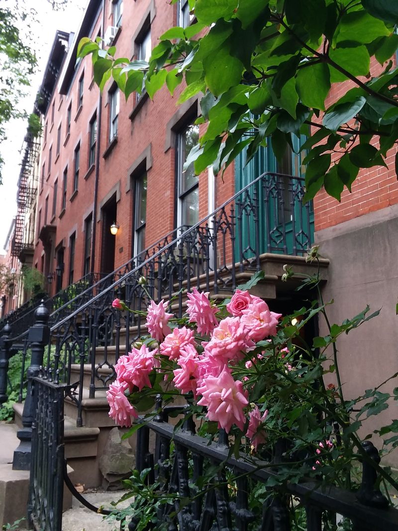 Cranberry Street in Brooklyn Heights